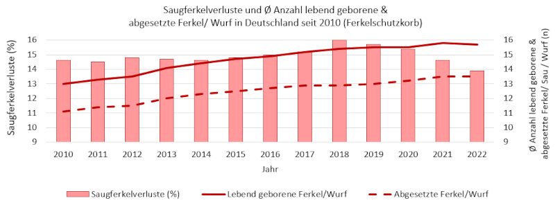 Grafik 5.2: Saugferkelverluste (%) und durchschnittliche Anzahl lebend geborene & abgesetzte Ferkel/ Sau/ Wurf in gesamt Deutschland seit 2010(Bundesverband Rind und Schwein e. V.). Die Daten wurden anders erhoben/ berechnet, als in den anderen Ländern. Erklärungen zur Berechnung/ Herkunft der Daten können unter https://erzeugerring.info/services/files/handbuchErzeugerringe.pdf eingesehen werden. 