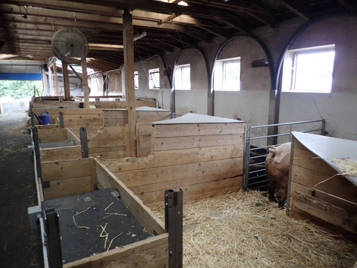 Abferkelstall