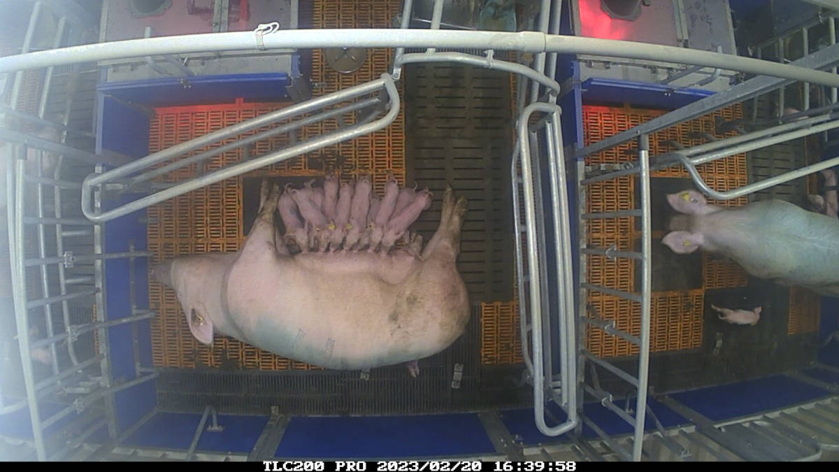 Übersicht Vogelperspektive