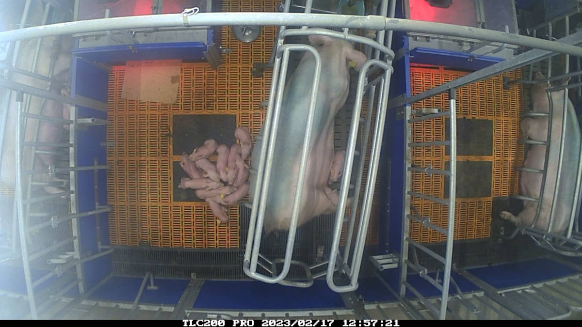 Übersicht Vogelperspektive