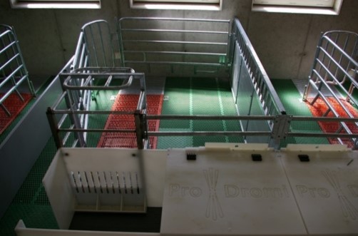Abferkelstall Pro Dromi II