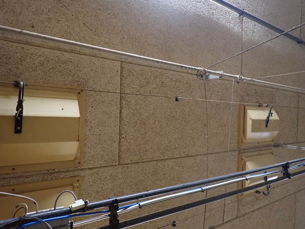 Nr. 19: Abferkelstall Decke