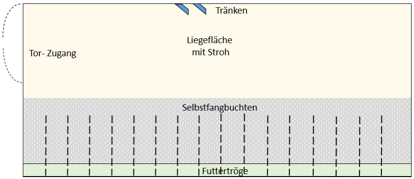 Skizze 3: Deckzentrum
