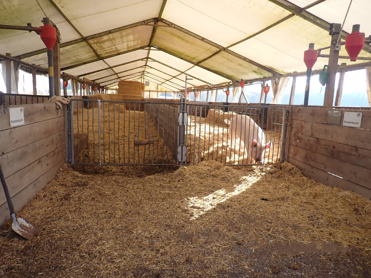  Bild 16: Deckzentrum Arena
