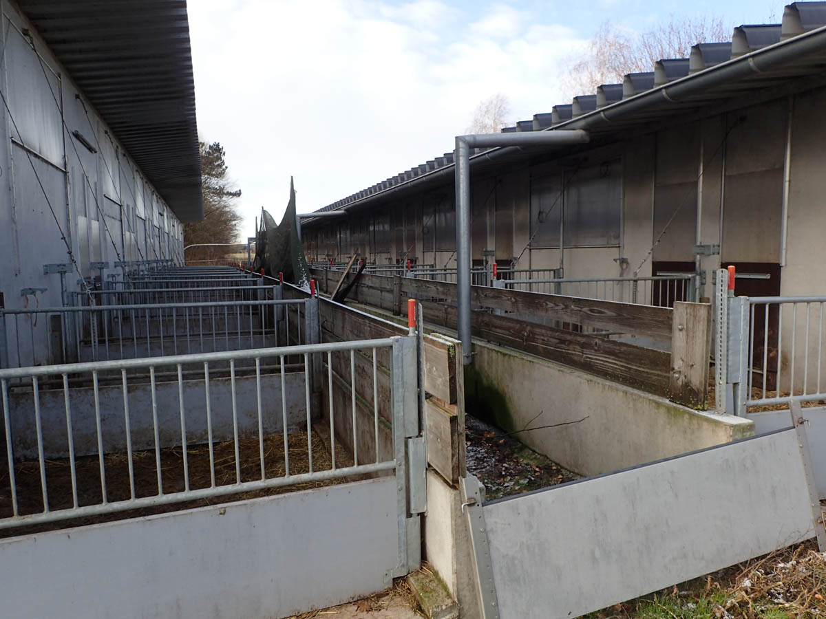 Bild 8: Abferkelstall Außenbereich