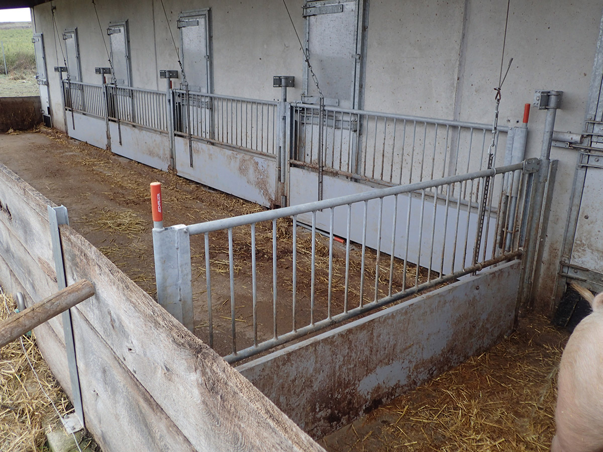 Abferkelstall Auslauf