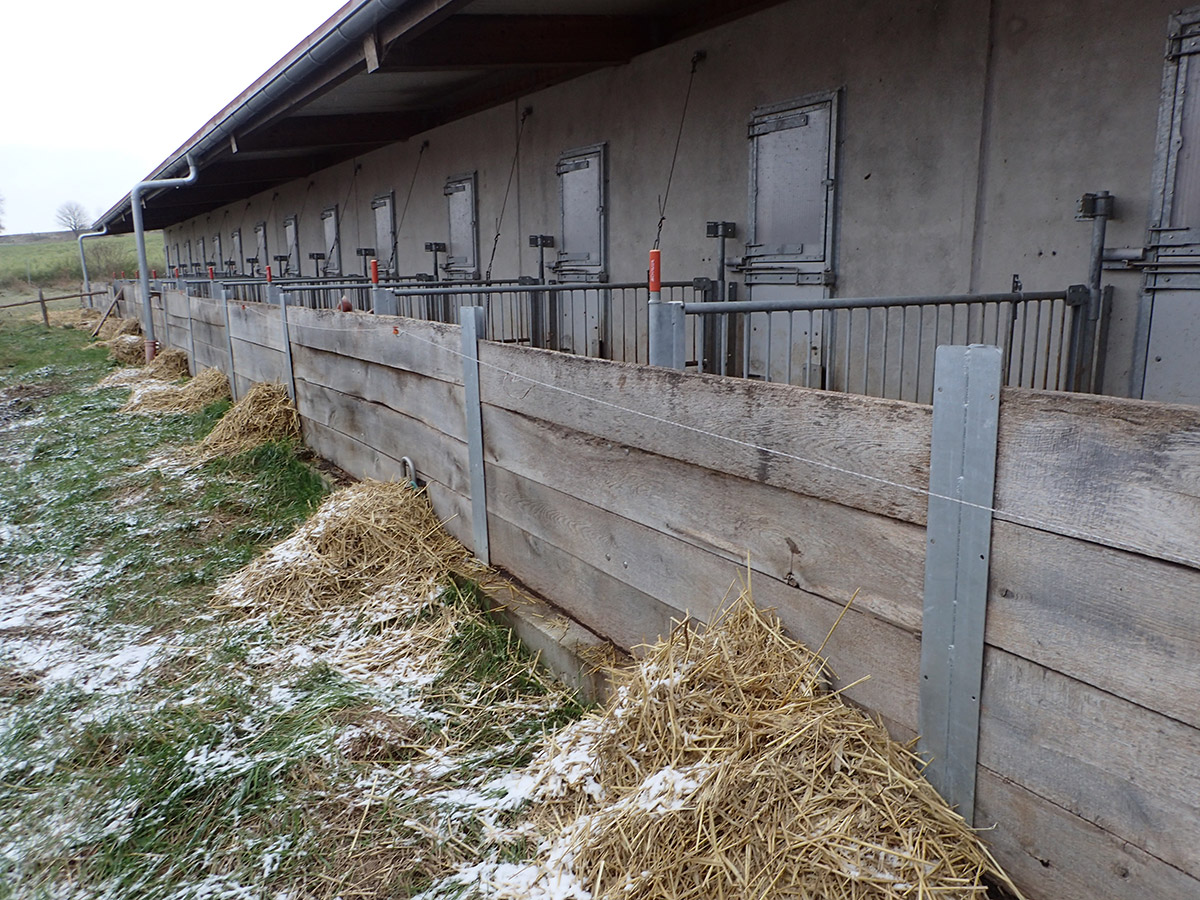 Bild 10: Abferkelstall Auslauf